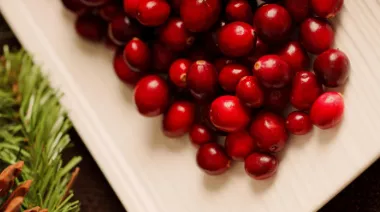 garnishing-instructions-image